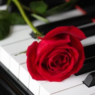 Valentine's Moonlight Sonata by Candlelight at St Mary's Cathedral, Palmerston Place
