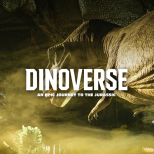 DinoVerse – een VR-experience