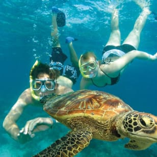 Green Island Tour: Katamaran-Kreuzfahrt ab Cairns
