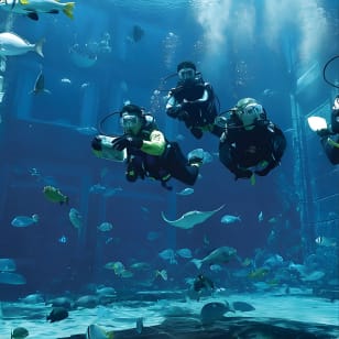 Dubai Lost Chambers Dive Discovery