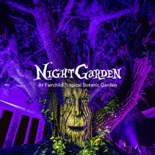 NightGarden 2026 - Waitlist