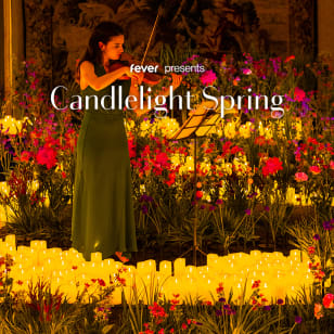 Candlelight Spring : concerts classiques entre les fleurs - Liste d'attente