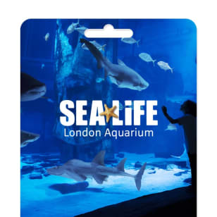 Snorkel with Sharks Gift Voucher