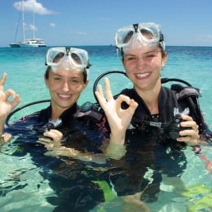 Michaelmas Cay, Great Barrier Reef – Segeltörn ab Cairns