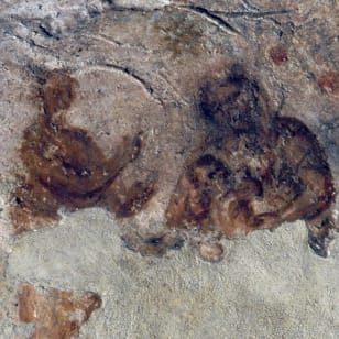 Catacomba di Priscilla: Visita Guidata