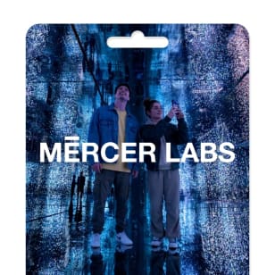 Maestros and The Machines - Gift Card