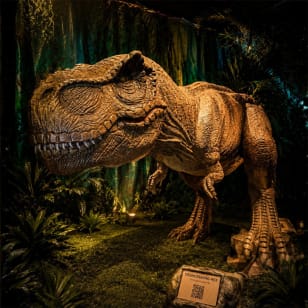 Dinosaur World: The Jurassic Expedition