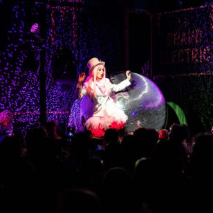Club Flamingo: Australia's Family Nightclub