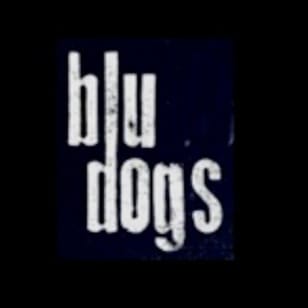Blu Dogs live at SJQ