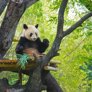 Madrid Zoo Aquarium