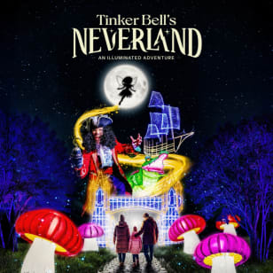 Tinker Bell’s Neverland: An Illuminated Adventure - Waitlist