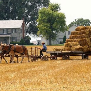 Amish Experience SuperSaver Paket