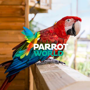 Parrot World: Annual Passes
