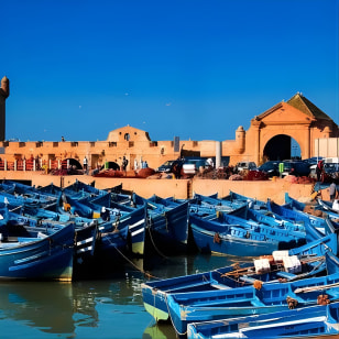 Une merveilleuse journée à Essaouira depuis Marrakech
