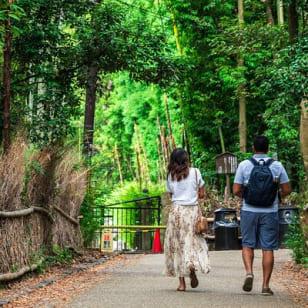 京都ガイドツアー 竹林、寺院など