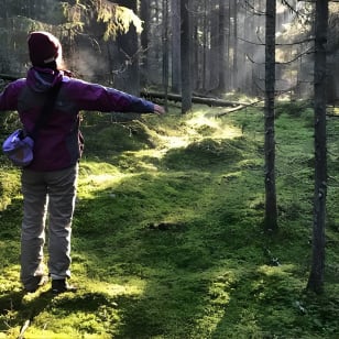 Vaelluskokemus kansallispuistossa Backpacker Helsinki Tourilla