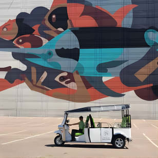 Public Art Tour in Jacksonville