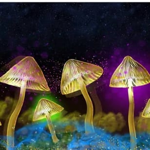 The Science of Psychedelics with Dr David Luke