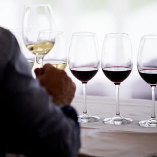 Curso Descobrir o Vinho - Azeitão