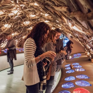 Immersive visit to the Caves du Louvre