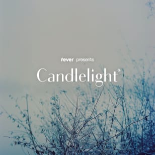 Candlelight: The Best of Ludovico Einaudi