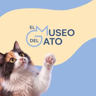 El Museo del Gato