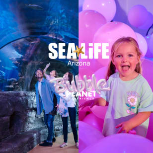Bundle: Bubble Planet + SEA LIFE Aquarium in Arizona Mills