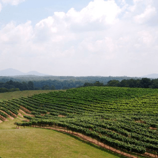 Mystery Picnic de Dahlonega: Aventura gastronómica autoguiada