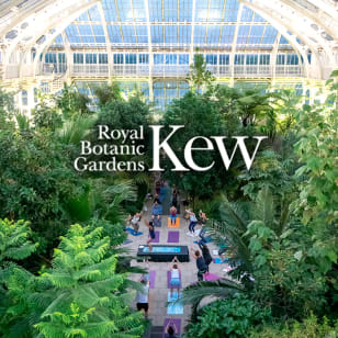 Temperate House Yoga Experience at The Royal Botanic Gardens, Kew