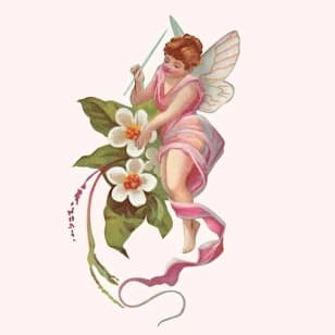 The Hidden World of Fairies & Women