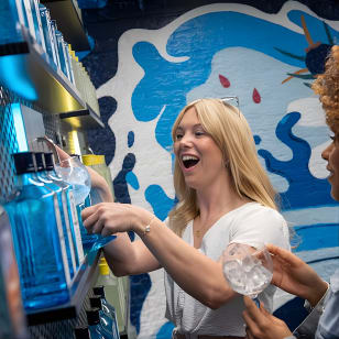 Tour della distilleria e biglietto per cocktail Bombay Sapphire