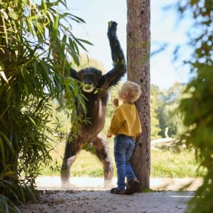 Eindhoven Zoo