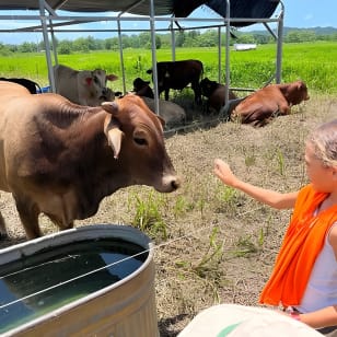 Eco Friendly Farming Tour to Explore Dorado's Most Beautiful Farm