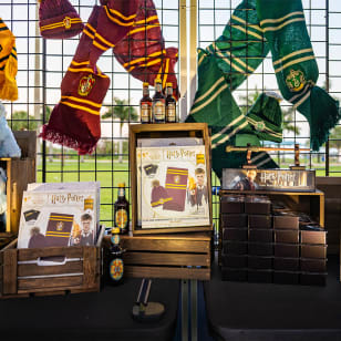 Pre-Order Merch for DroneArt Show: Harry Potter in Austin | November 2026 - Gift Card