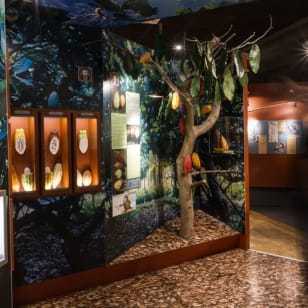 Choco-Story: Schokoladenmuseum in Paris
