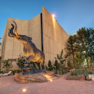 Museo de Naturaleza y Ciencia de Denver: boleto de entrada