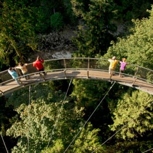 Parque del puente colgante de Capilano: Pasee por las copas de los árboles de la selva tropical