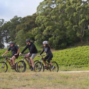 Tour gastronómico y enológico en bicicleta eléctrica por Hahndorf