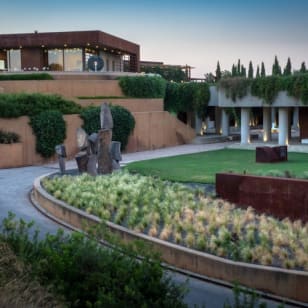 Bodegas Torres: Tour guidato + Abbinamento di vini e tapas