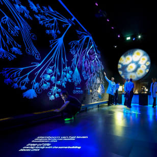 Micropia: scopri la vita invisibile (skip-the-line)