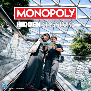 MONOPOLY: HIDDEN - Changi Boulevard