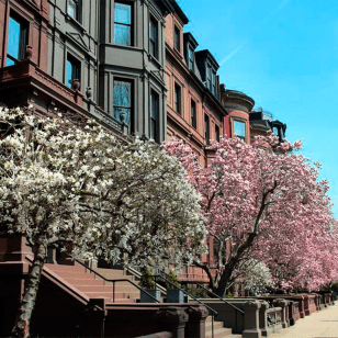 Back Bay & Downtown Boston Mystery Picnic: un'avventura foodie autoguidata