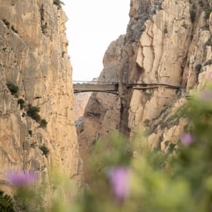 Caminito del Rey: Tour guidato in francese + Trasferimento