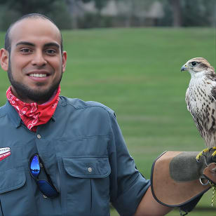 Colorado Springs Clase de Falconry y Demostración