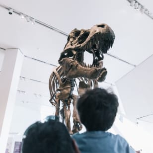 Museo Real de Ontario: Entrada sin colas