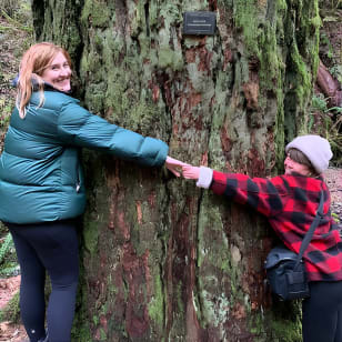 Excursión urbana por Forest Park, Portland