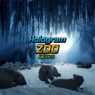 Hologram Zoo CDMX