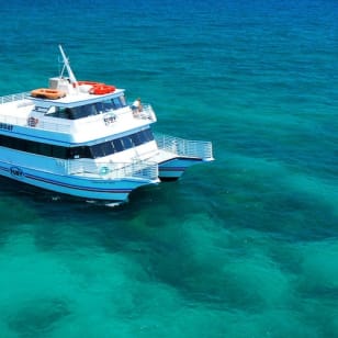 From Miami: Excursión en barco con fondo de cristal por Cayo Hueso