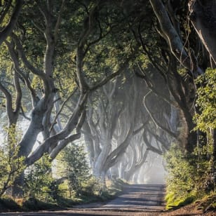 Calzada del Gigante, Castillo de Dunluce, Dark Hedges y ciudad de Belfast desde Dublín