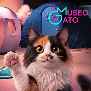 The Cat Museum